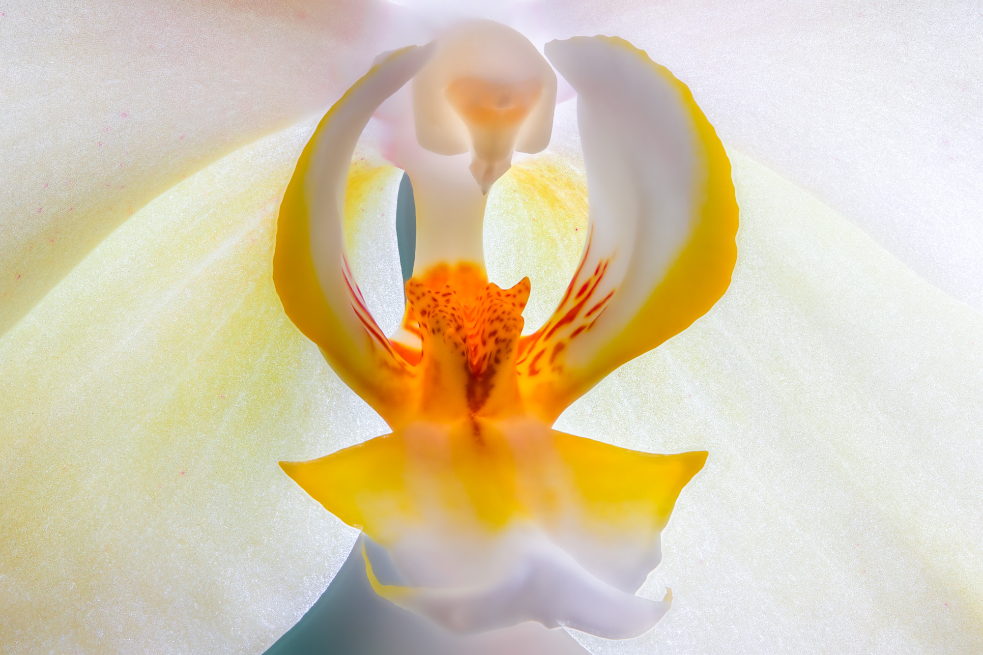 深度合成とは何ですか?